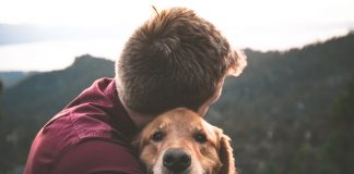 102 Citate Despre Caini – Cele Mai Inspirationale Si Frumoase Citate