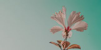 156 Mesaje De Multumire