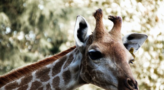 194 Citate Scurte Care iti vor schimba viata