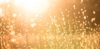 233 Citate Ortodoxe Citate frumoase