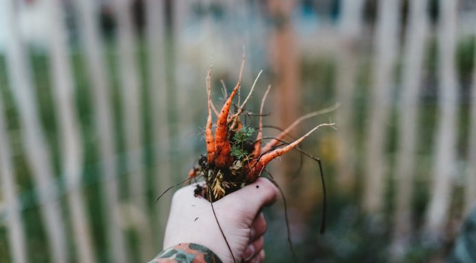 303 Citate Despre Viata Si Sentimente Citate frumoase