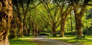 67 Citate Despre Primavara – Cele Mai Inspirationale Si Frumoase Citate