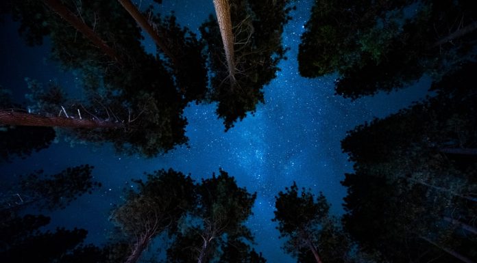 88 Citate De Noapte Buna Citate frumoase