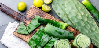 Cactusul nopal – Proprietati, beneficii si contraindicatii