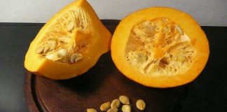 Cele 11 beneficii ale dovleacului pentru sanatatea ta