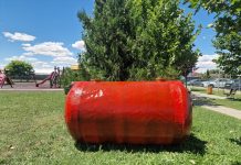 Ce sunt bioactivatorii