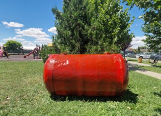 Ce sunt bioactivatorii